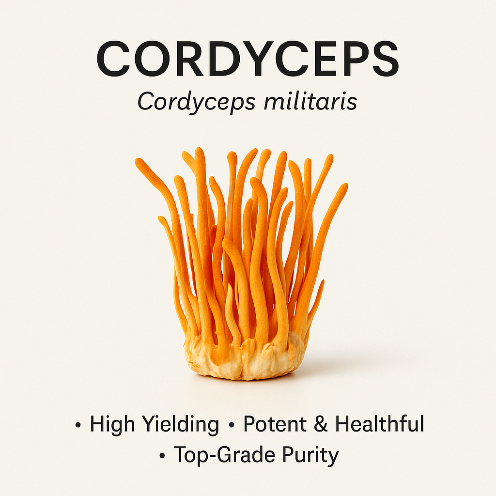 Coryceps