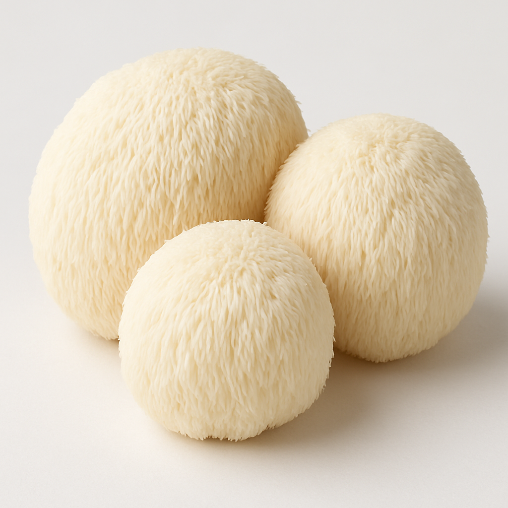 Lions Mane