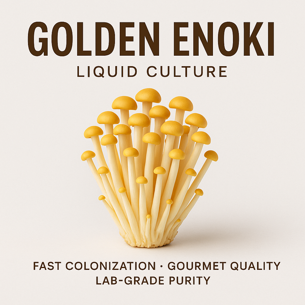 Golden Enoki