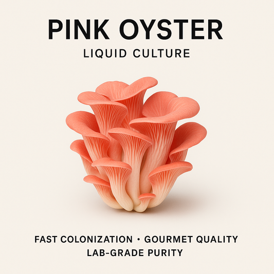 Pink Oyster