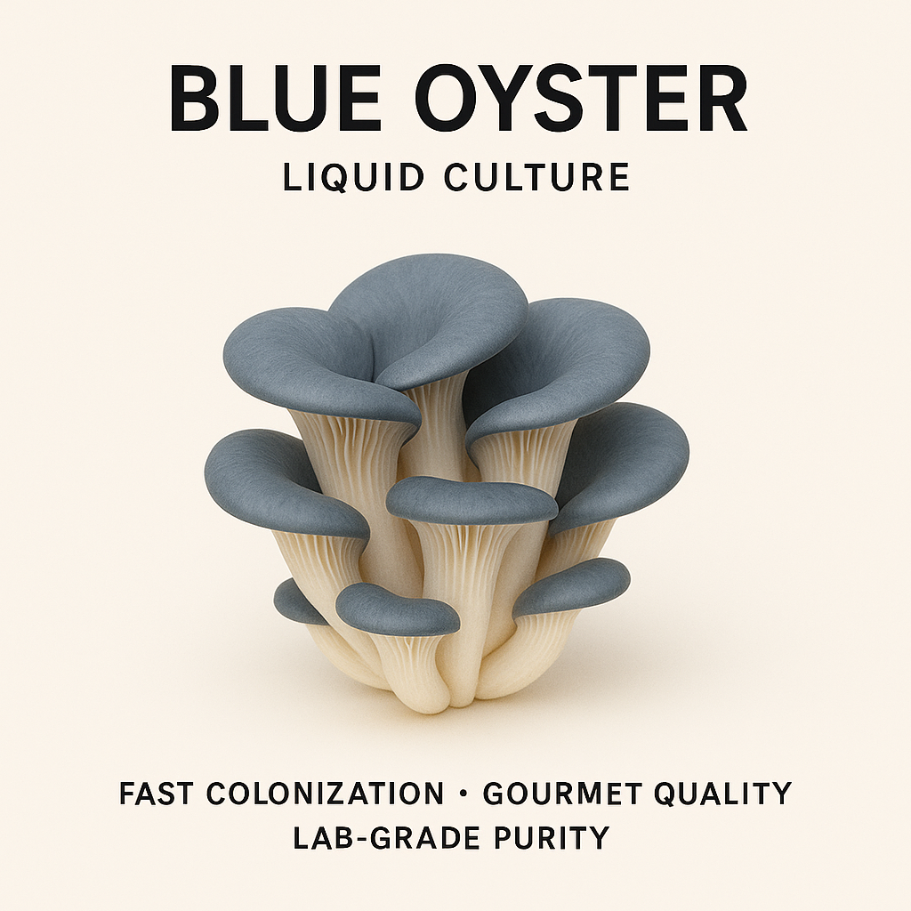 Blue Oyster