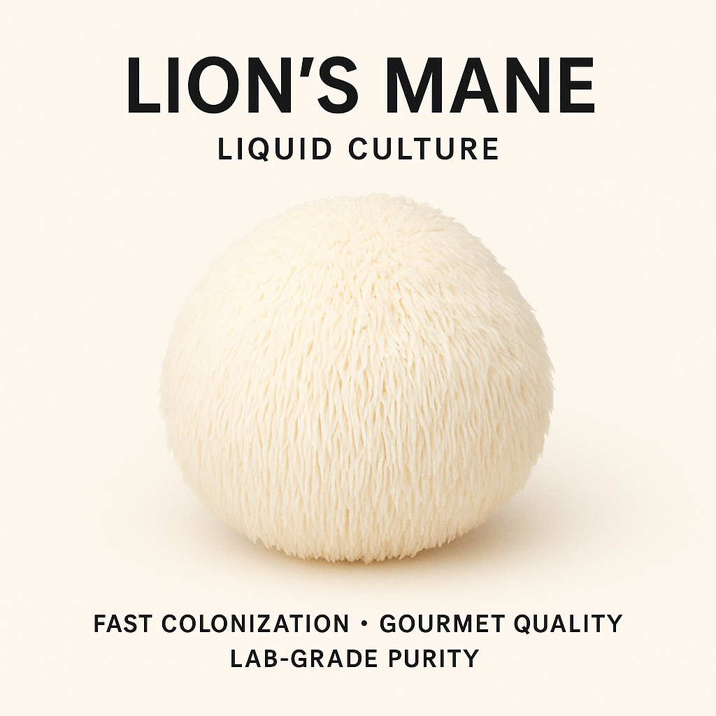 Lions Mane
