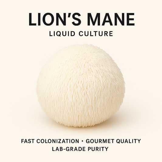 Lions Mane