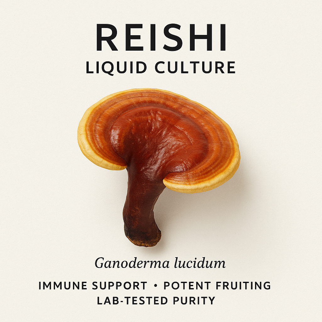 Reishi