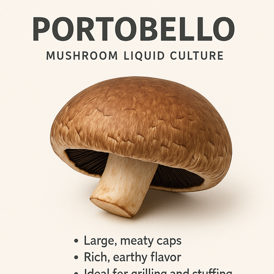 Portobello