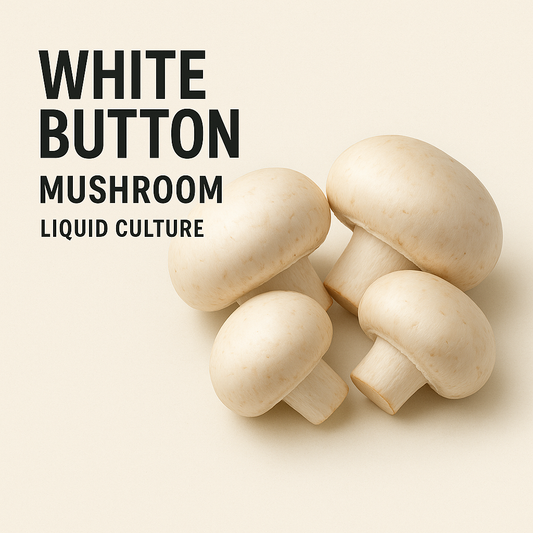 White Button
