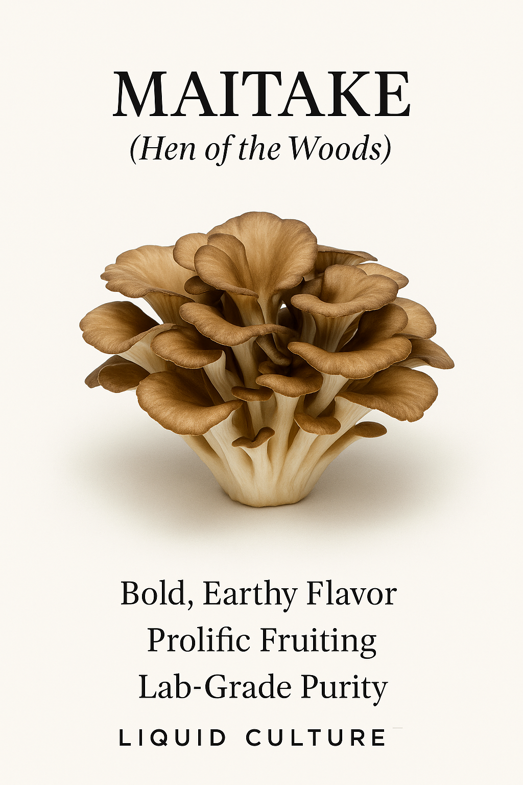 Maitake