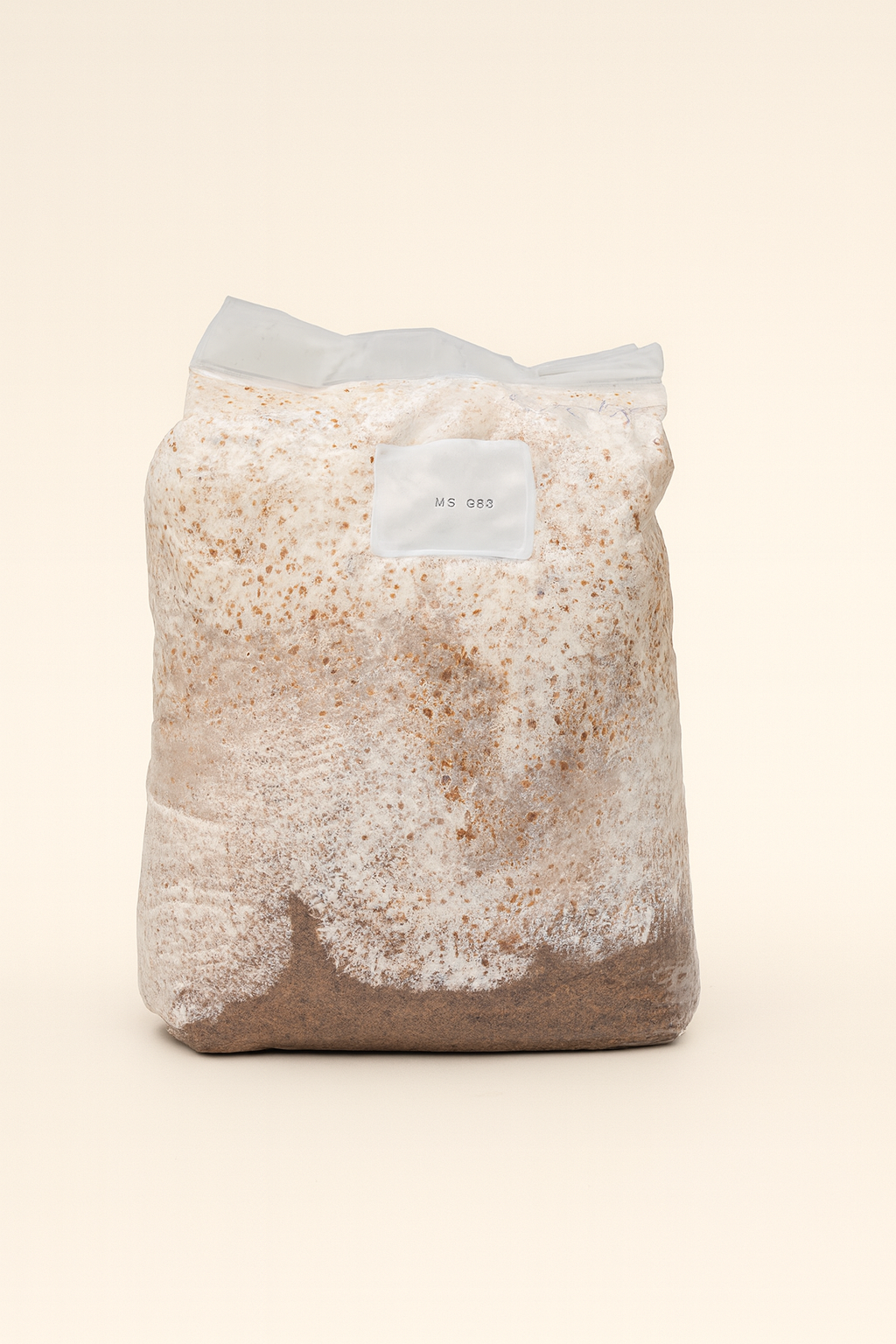 Grain Spawn bag