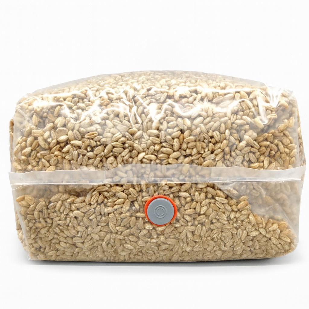 4lb Sterilized Rye Berries